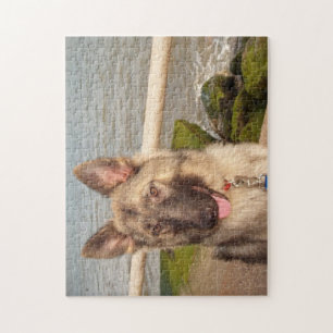 Puzzle Berger Allemand Au Bord De La Mer