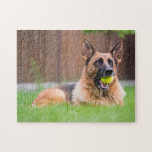 Puzzle Berger Allemand Avec Bal De Tennis