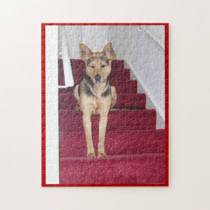 Puzzle Berger allemand sur escaliers