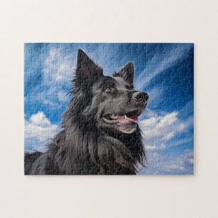 Puzzle Berger belge Groenendael