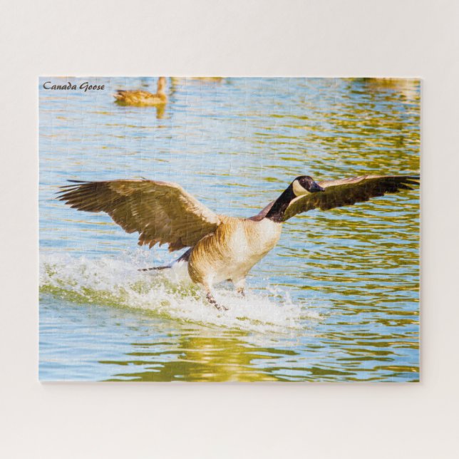 Puzzle Bernache du Canada (Horizontal)