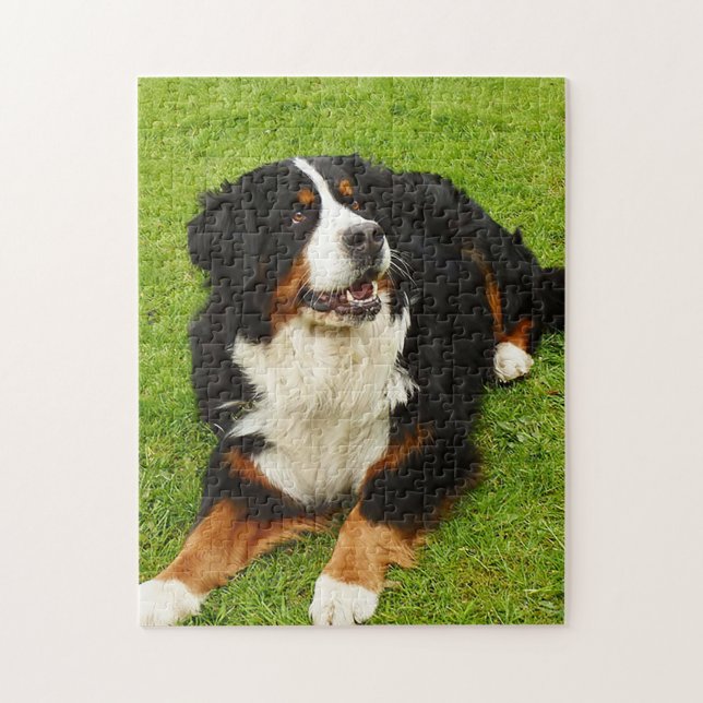 Puzzle Bernese Mountain dog (Vertical)