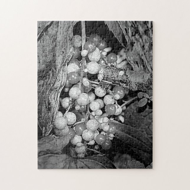 Puzzle Berries En Nature Noire Et Blanche (Vertical)