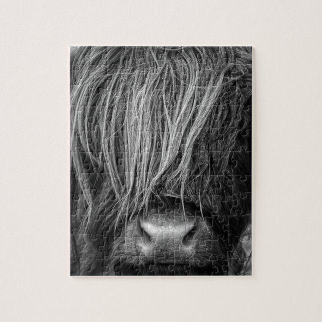 Puzzle Bétail des montagnes écossais - Ecosse (Vertical)