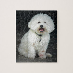 Puzzle Bichon