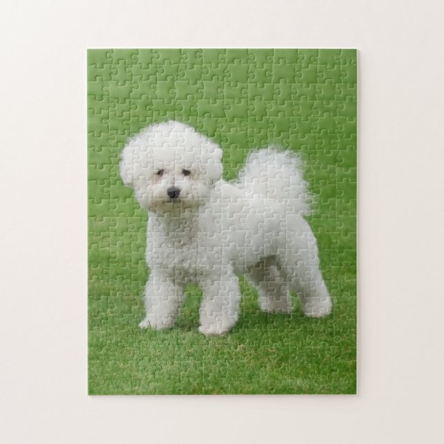 Puzzle Bichon Frise (Vertical)