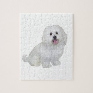 Puzzle Bichon havanais (blanc)