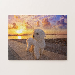 Puzzle Bichon sur la plage Votre animal de compagnie Phot