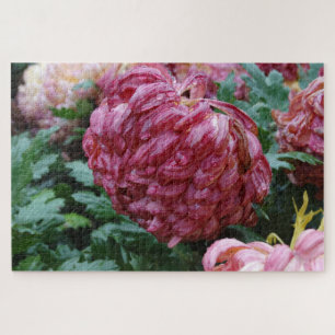 Puzzle Big Beautiful Mums on a Rainy Day! on a
