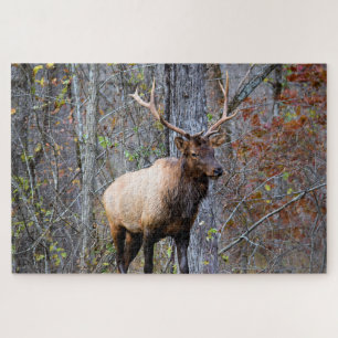 Puzzle Big Game Hunter - Bull Elk - 20x30 pouces