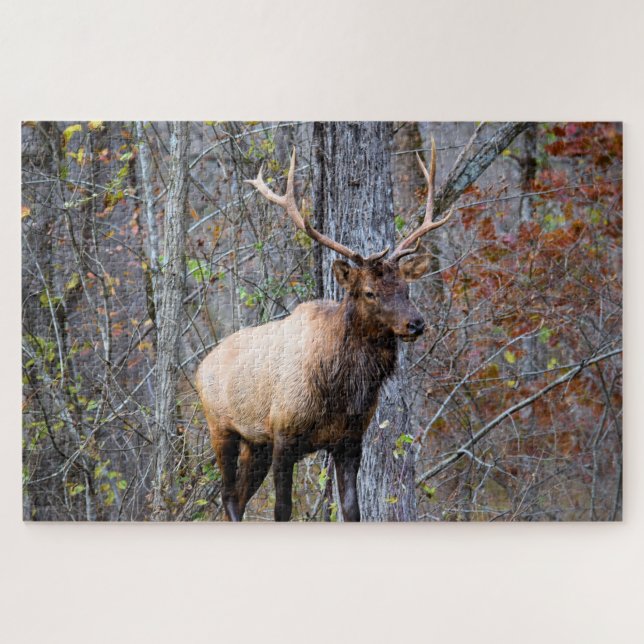 Puzzle Big Game Hunter - Bull Elk - 20x30 pouces (Horizontal)