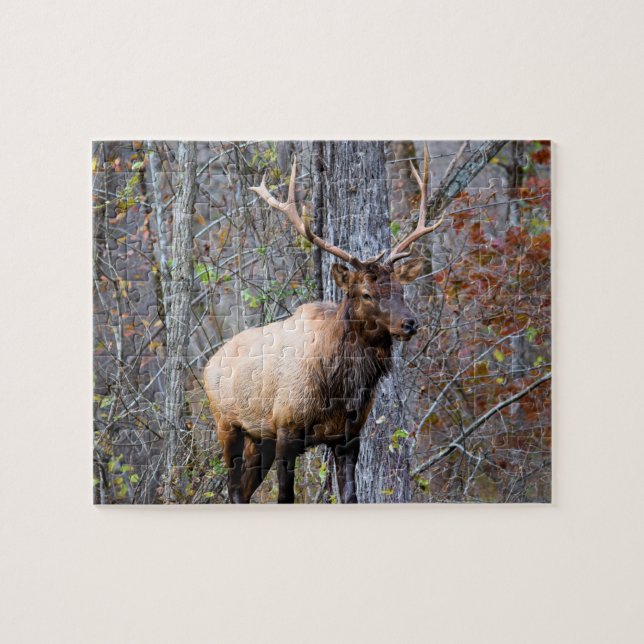 Puzzle Big Game Hunter - Saison Elk - 8x10 pouces (Horizontal)