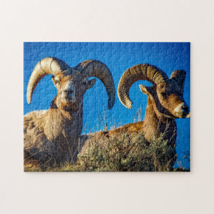 Puzzle Big Horn Game