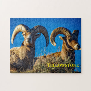 Puzzle Big Horn Game