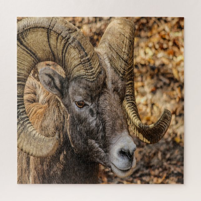 Puzzle Big Horn Ram (Vertical)