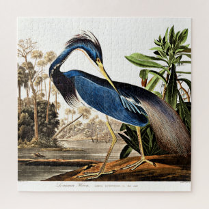 Puzzle Bird - Louisiana Heron by John James Audubon