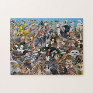 Puzzle Birding grande année
