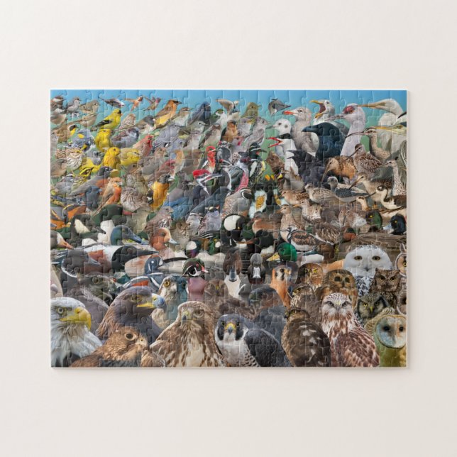 Puzzle Birding grande année (Horizontal)