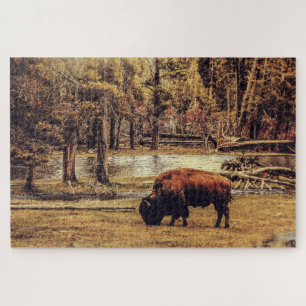 Puzzle Bison