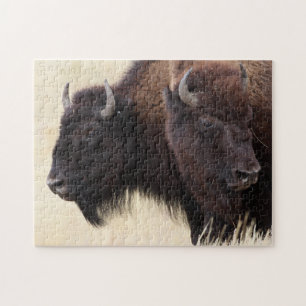 Puzzle bison