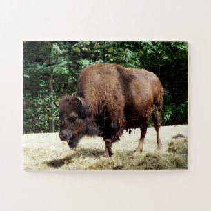 Puzzle Bison animal