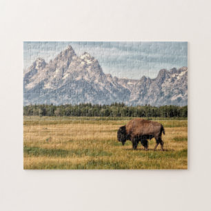 Puzzle Bison dans le Tetons