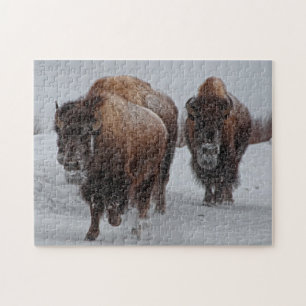 Puzzle Bison de Yellowstone