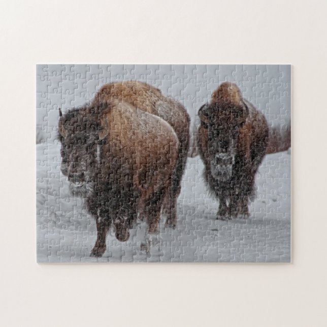 Puzzle Bison de Yellowstone (Horizontal)