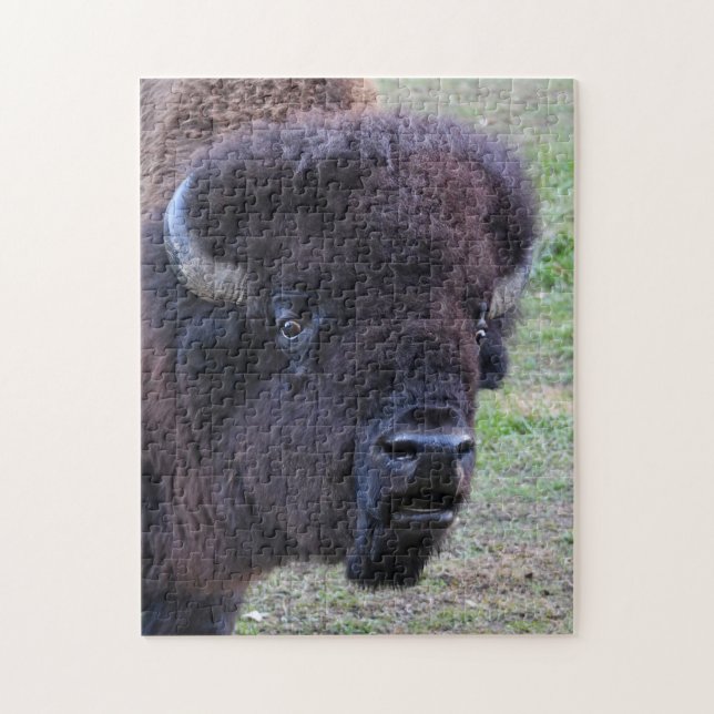 Puzzle Bison dominant de Taureau (Vertical)