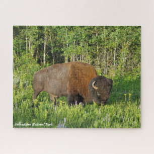 Puzzle Bison du parc national de Yellowstone