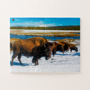 Puzzle Bison Yellowstone Wyoming