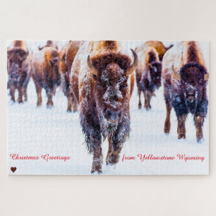 Puzzle Bison Yellowstone Wyoming
