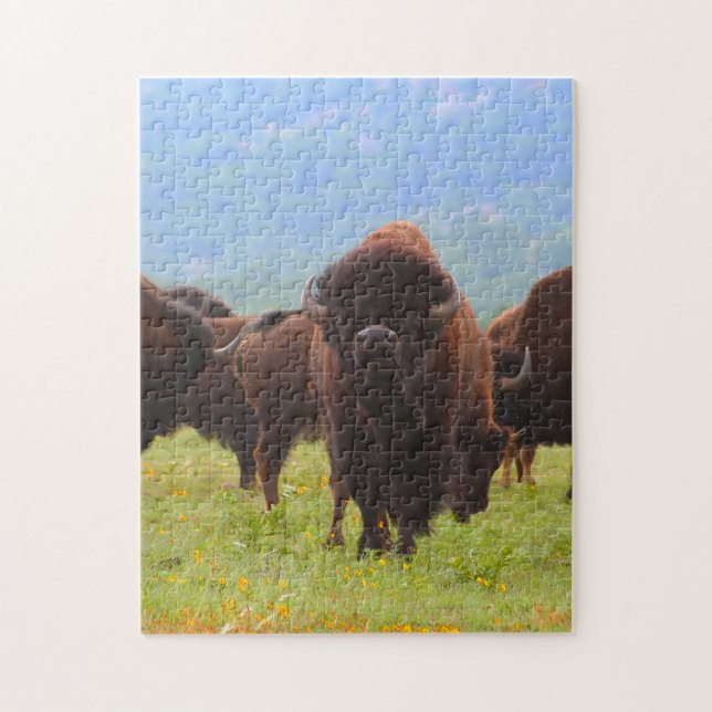 Puzzle Bisons sauvages Oklahoma. (Vertical)