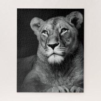 Puzzle black and white lion