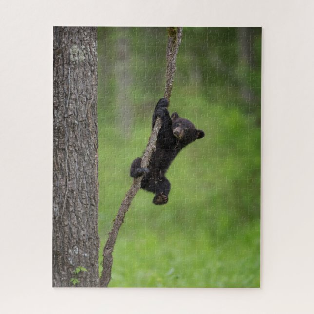 Puzzle Black Bear Cub jouant sur le membre de l'arbre (Vertical)