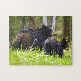 Puzzle Black Bears Montana.