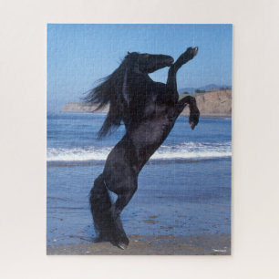 Puzzle Black Friesian Stallion Rearing On Beach