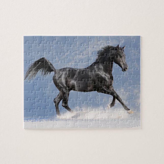 Puzzle Black Horse Game (Horizontal)