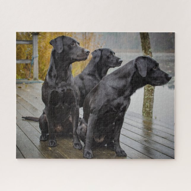 Puzzle Black Labs sur un quai (Horizontal)