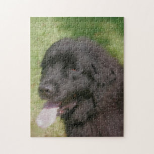 Puzzle Black Newfoundland Dog Art