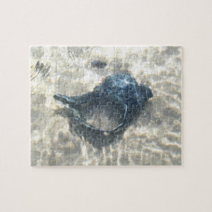 Puzzle Black Seashell