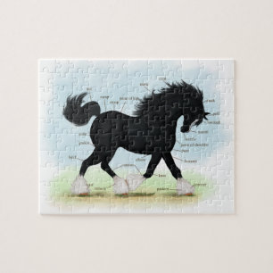 Puzzle Black Shire Horse Educational Anatomical Chart