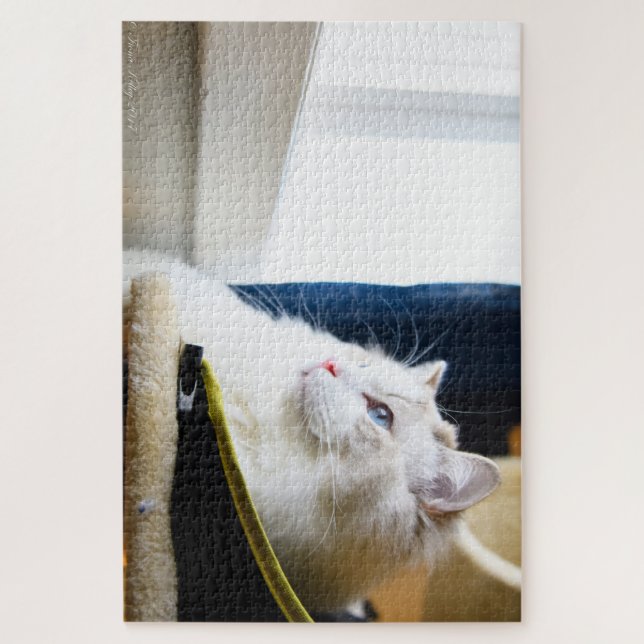 Puzzle blanc de chat de Ragdoll (Vertical)