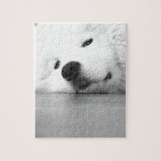 Puzzle Blanc de chien de photo de Samoyed