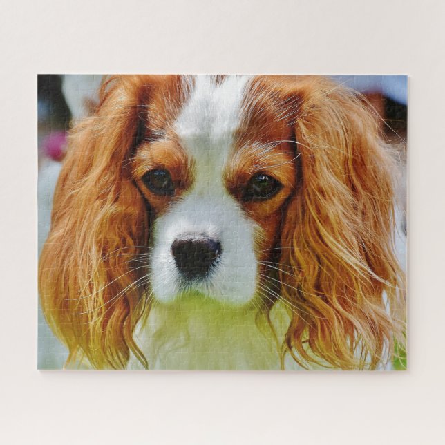 Puzzle Blenheim Cavalier King Charles Spaniel Chien (Horizontal)