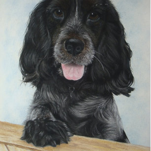 Puzzle bleu english cocker spanial très mignon chien