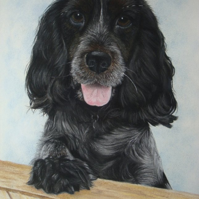 Puzzle bleu english cocker spanial très mignon chien (Créateur téléchargé)