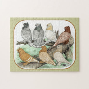 Puzzle Blondinettes de pigeons de frill classique
