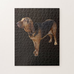 Puzzle Bloodhound