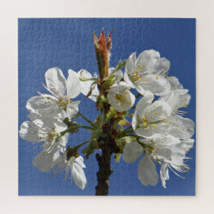 Puzzle Bloom du printemps blanc